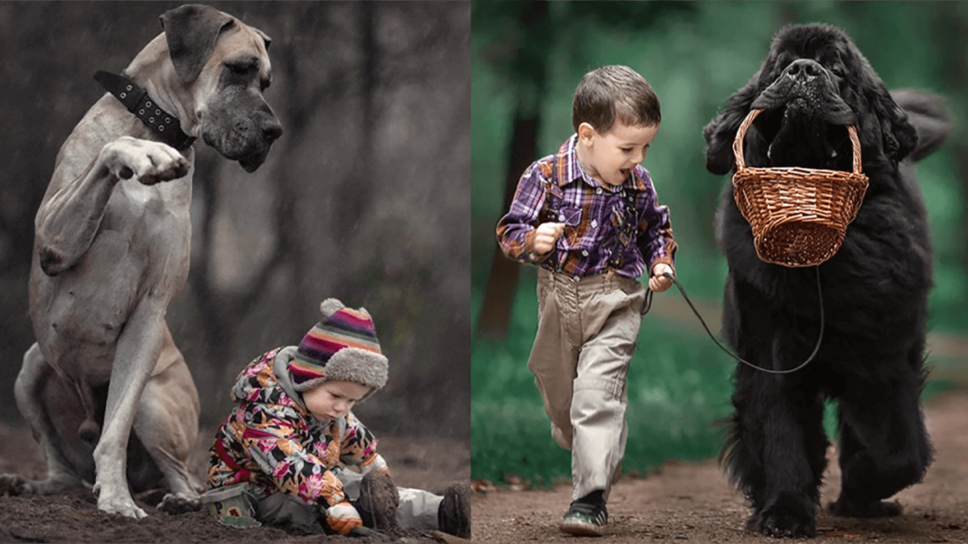 adorable pictures of little kids with big dogs