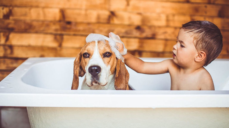 10 best pets for kids
