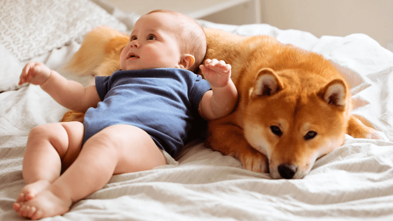 adorable pictures of little kids with big dogs