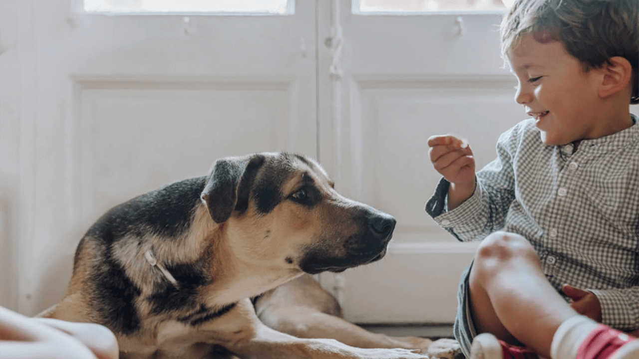 adorable pictures of little kids with big dogs