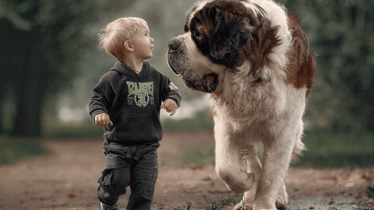 adorable pictures of little kids with big dogs