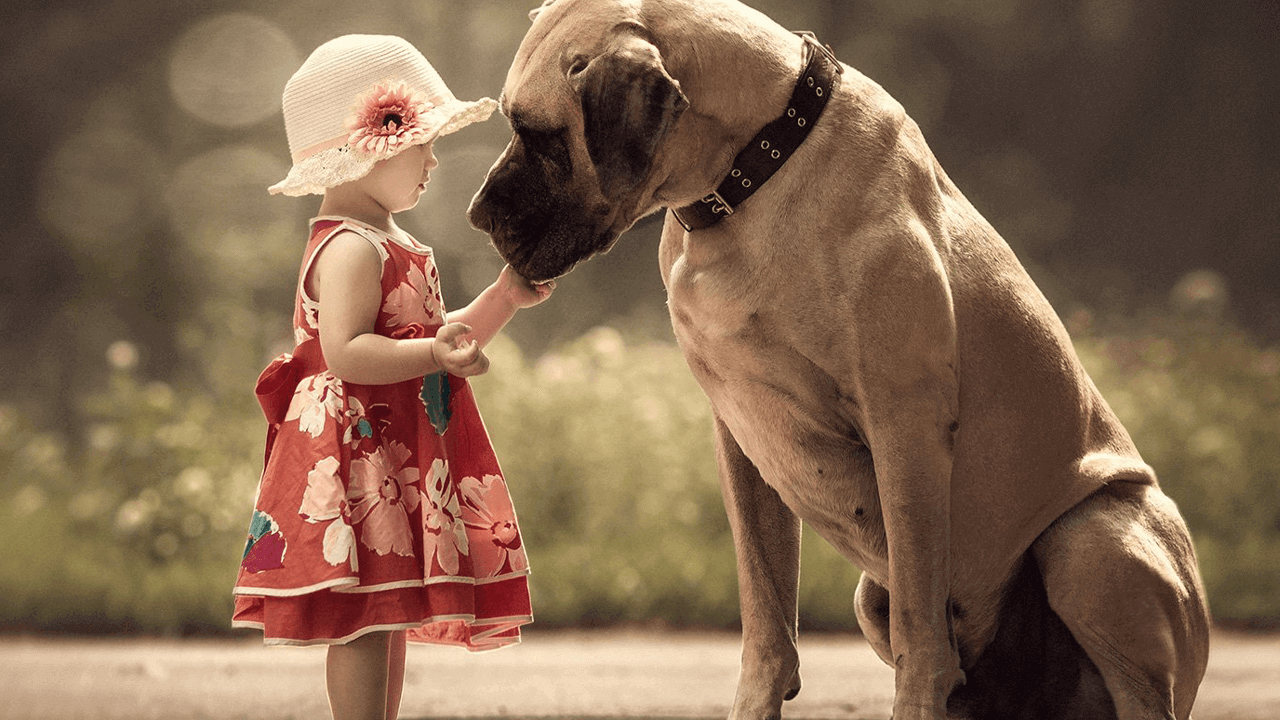 adorable pictures of little kids with big dogs