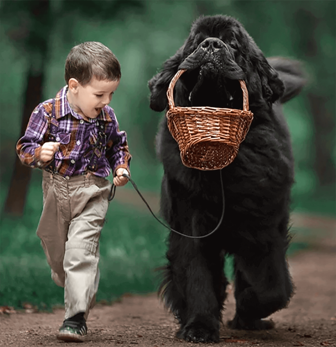 adorable pictures of little kids with big dogs