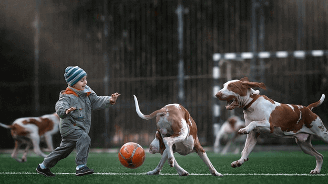 adorable pictures of little kids with big dogs