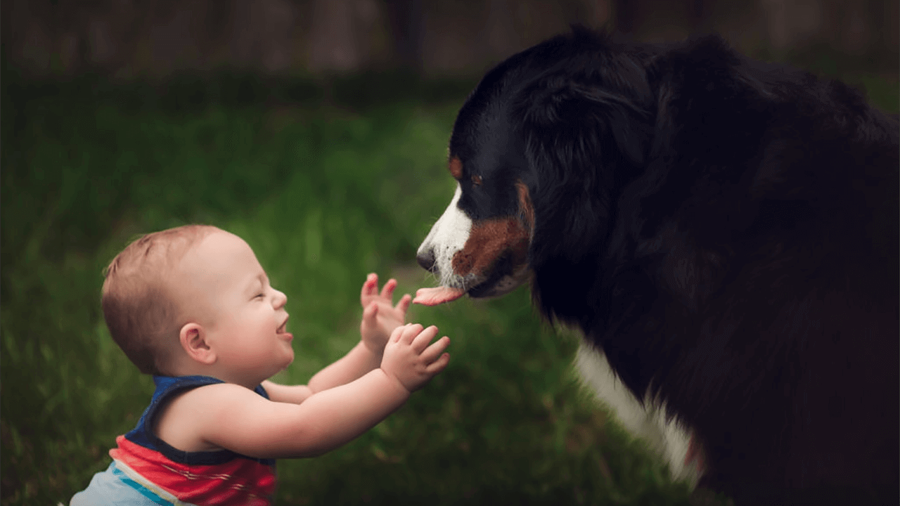 adorable pictures of little kids with big dogs