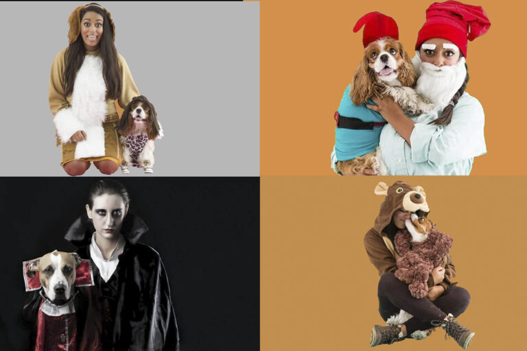 dog and owner halloween costumes guaranteed to make you laugh